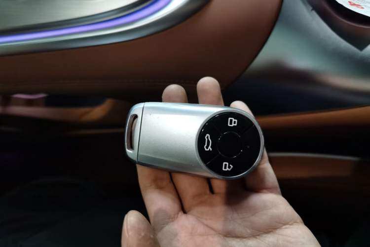 Used ORA Lightning Cat 2022 555 km Luxury Edition
