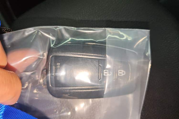 Used Toyota Wildlander 2020 2.0L CVT Two-Wheel Drive Luxury Edition Vehicle Key