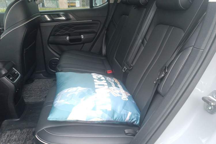 Used Tank 300 2021 Off-Road Edition 2.0T Conqueror Left Rear Seat