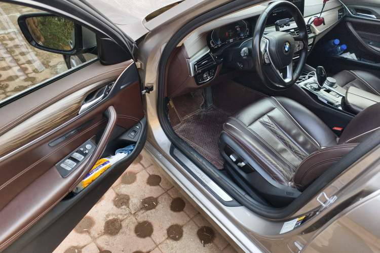 Used BMW 5 Series New Energy 2020 Mileage Upgrade Version 530Le Luxury Package
