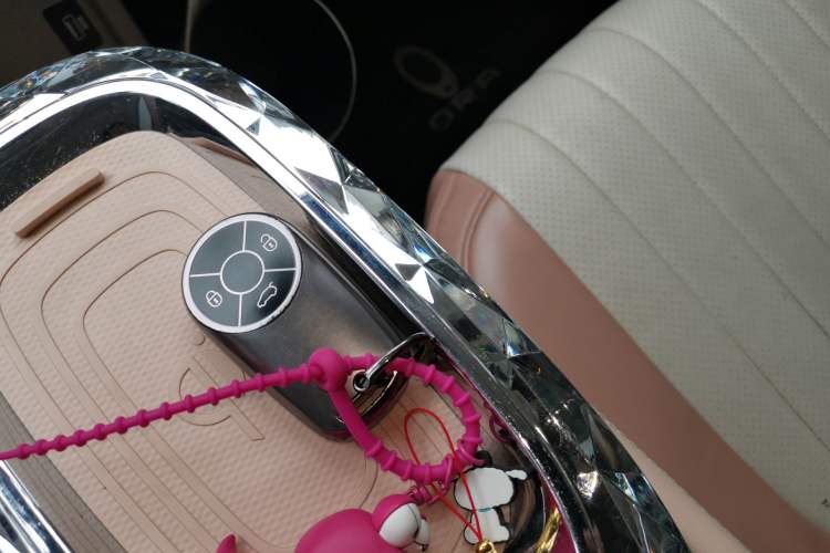 Used ORA Ballet Cat 2022 401 km Nutcracker Edition