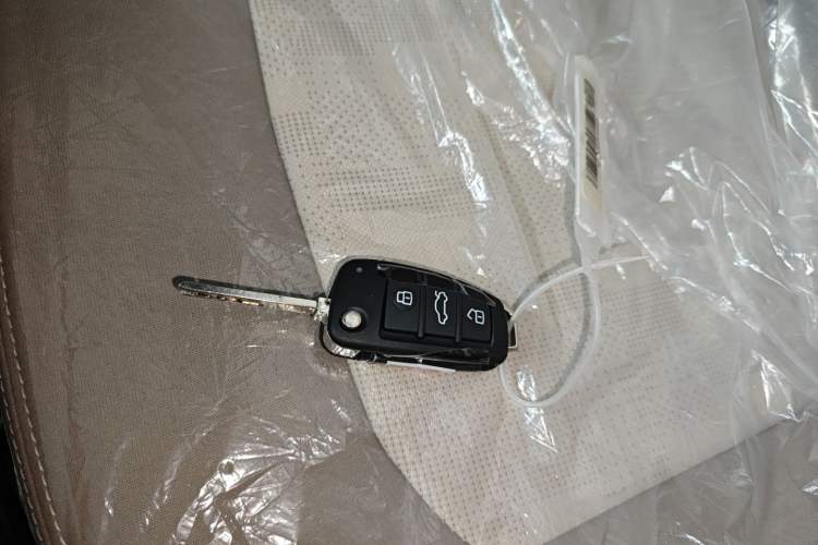 Used Chery QQ Ice Cream 2025 205km Qi Energy Version Vehicle Key