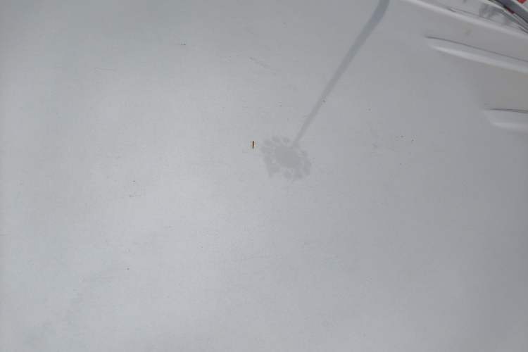 Used Great Wall Wingle 5 2021 2.0T Diesel Two-Wheel Drive Elite Version Big Double Cab China VI Standard GW4D20M