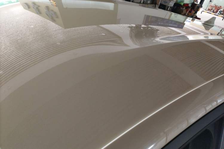 Used BYD Dolphin 2021 405 km Free Version