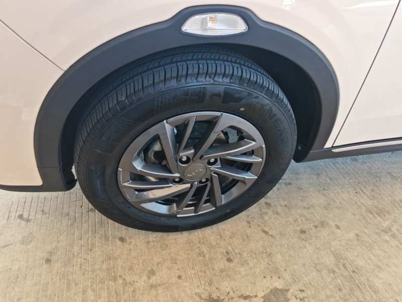 Used NETA AYA 2023 318 Lite — 22