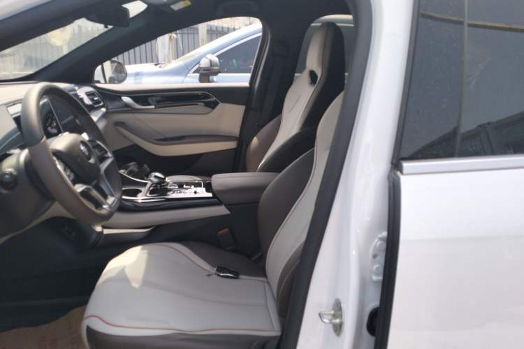 Used BYD Qin PLUS 2023 Champion Edition EV 510KM Leading Model Left Front Seat