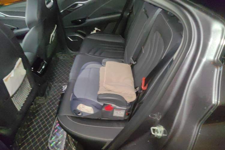 Used NETA U 2022 NETA U-Ⅱ 500 Lithium Iron Phosphate Left Rear Seat