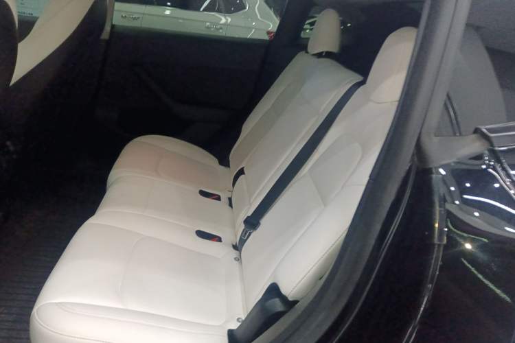 Used Tesla Model Y 2022 Revised Version Long-Range All-Wheel Drive