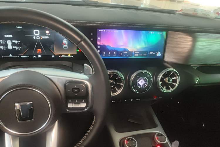 Used Tank 300 2024 2.0T Conqueror
