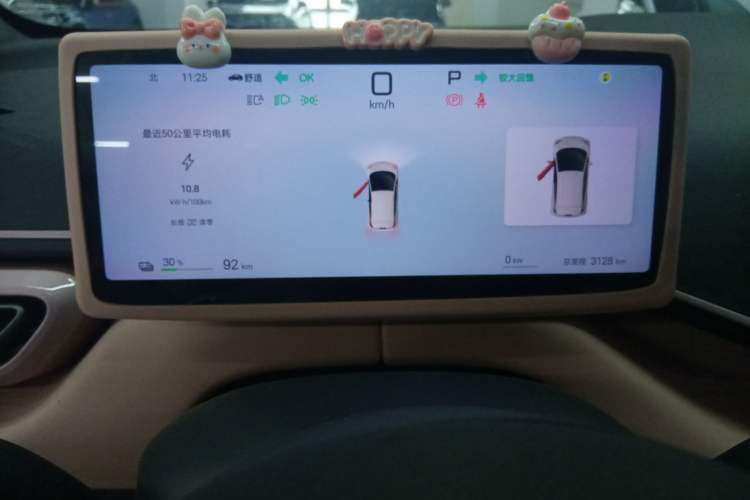 Used BYD Seagull 2025 Smart Drive Version 305 km Freedom Edition
