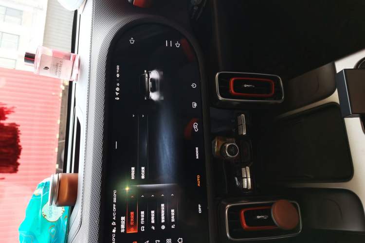 Used Haval DARGO 2024 2.0T DCT Chinese Rural Dog Edition
