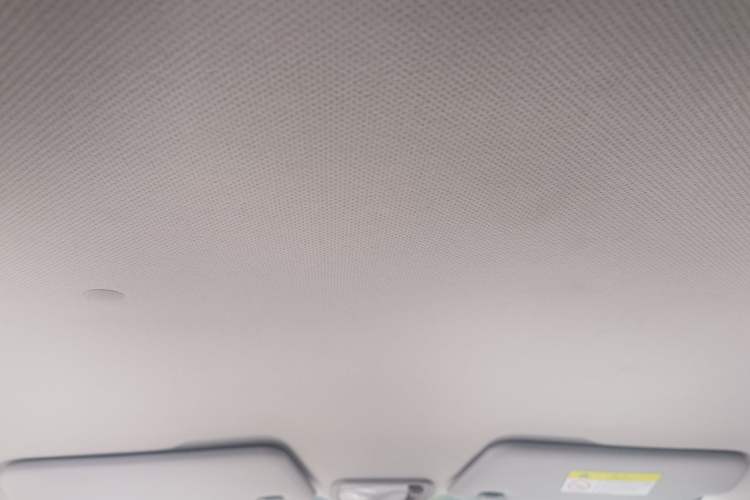 Used Wuling Hongguang MINIEV 2024 3rd Generation 215km Youth Edition Headliner