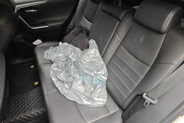 Used Toyota Wildlander 2021 2.0L CVT 4x4 Luxury Edition Left Rear Seat