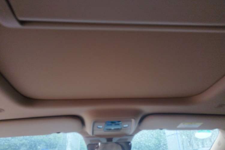 Used Denza D9 2025 DM-i Smart Drive 1020 Four-Wheel Drive Deluxe Model Headliner