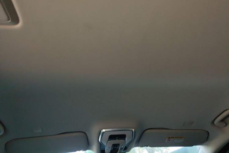 Used Hongqi HQ9 2023 2.0T Smart Connect Flagship Edition Headliner