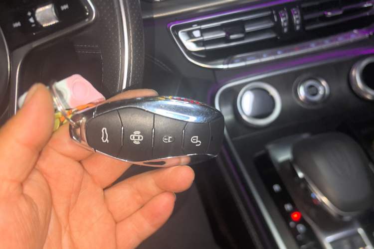 Used Hongqi H9 2023 2.0T Smart Connect Flagship Edition