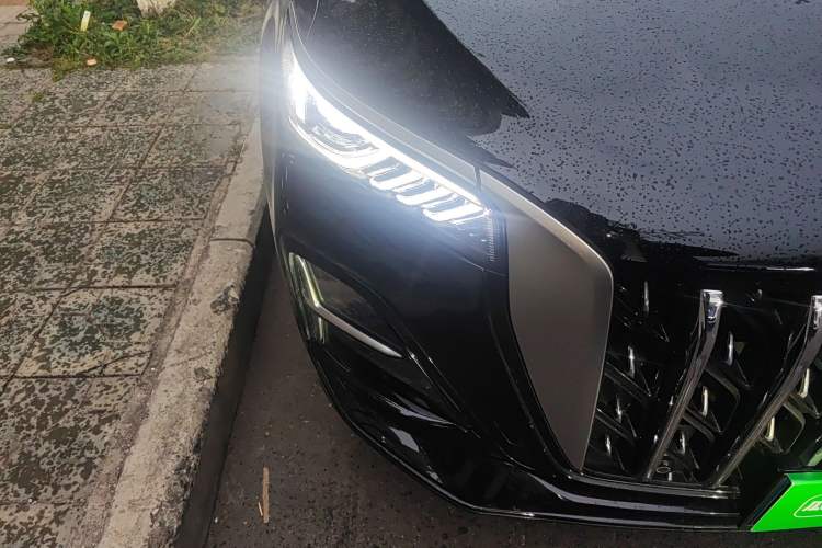 Used Hongqi HS5 2025 2.0T Two-Wheel Drive Flagship Pro Edition
