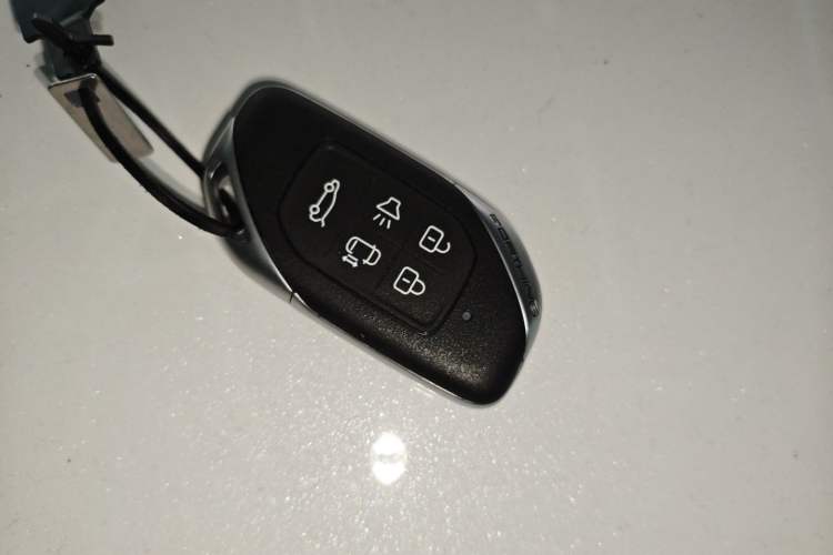 Used FORTHING Xinghai V9 2024 1.5TD 200km Chinese Knot Series Luxury Version
