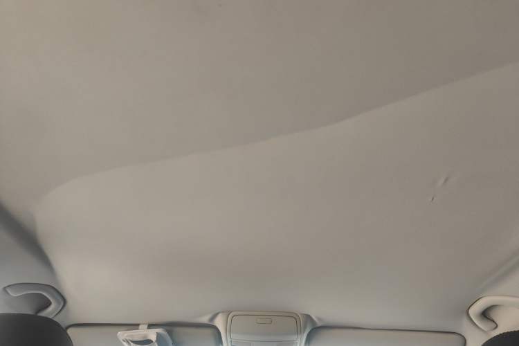 Used Volkswagen Tiguan 2010 1.8 TSI Automatic Two-Wheel Drive Trend Edition Headliner