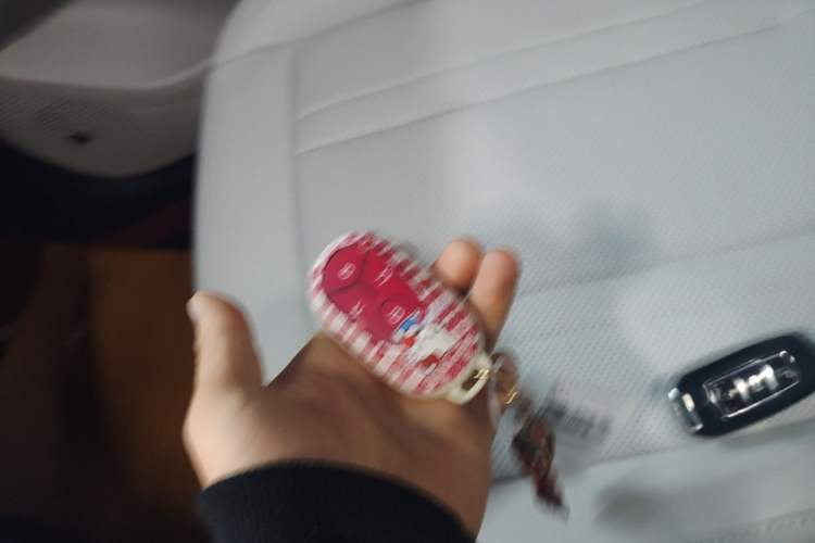 Used Geely Galaxy Geome 2025 310km Dream Edition