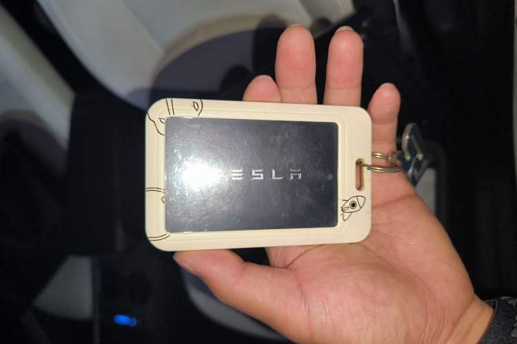 Used Tesla Model Y 2021 Long-Range All-Wheel-Drive Version 3D7
