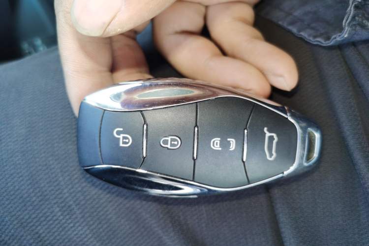 Used Hongqi HQ9 PHEV 2024 2.0T Four-Wheel Drive Business Edition