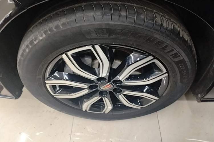 Used Hongqi HQ9 2023 2.0T Smart Connect Flagship Edition
