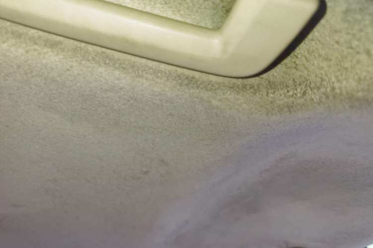 Used Ford Focus 2011 Sedan 1.8L Automatic Fashion Edition Headliner