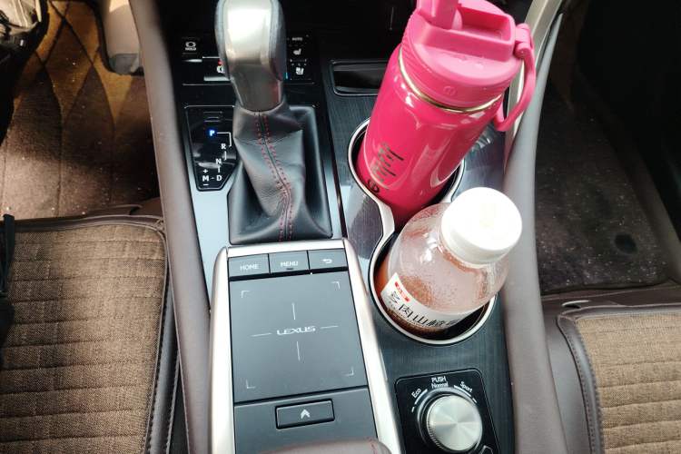 Used Lexus RX 2020 300 4x4 Elegant Edition China VI