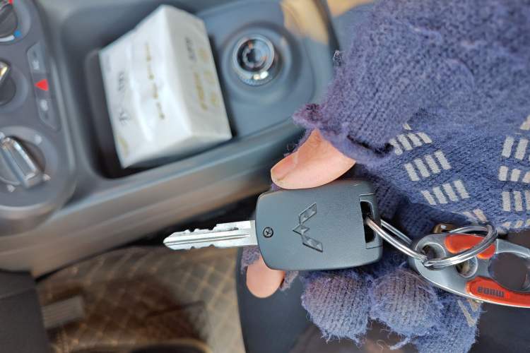 Used Wuling Hongguang New Energy 2025 Extended-Range Hybrid 50 km Standard Version