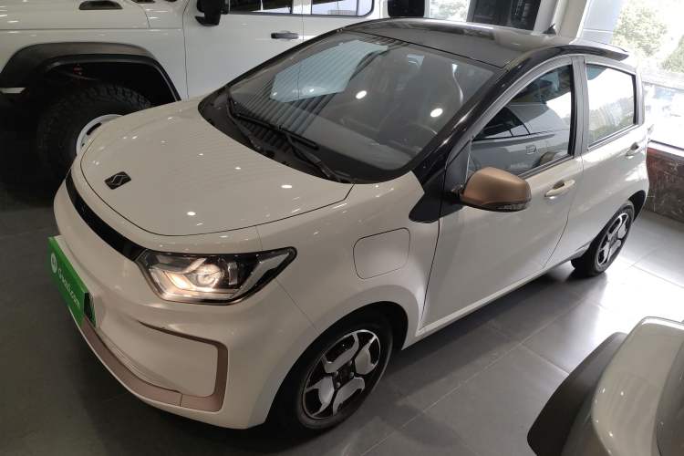 Used SOL E10X 2022 Flower Fairy Style Baby's Breath
