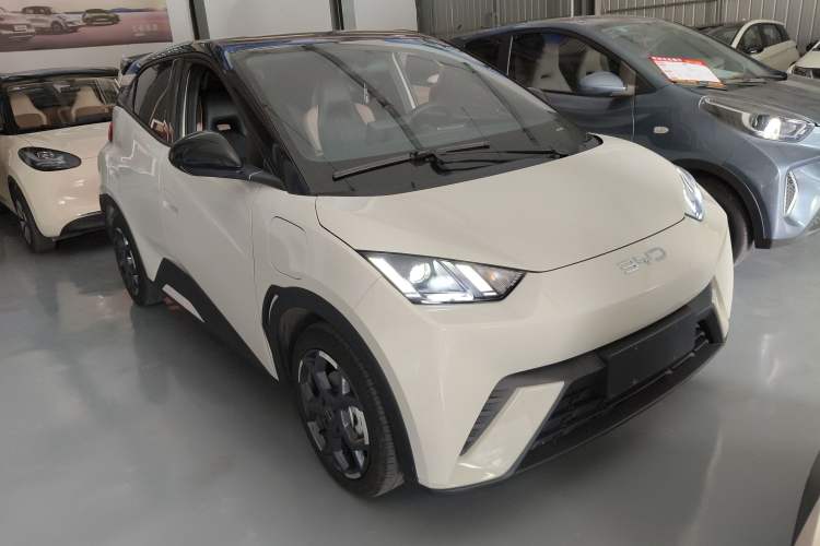 Used BYD Seagull 2024 Honor Edition 305km Freedom Version
