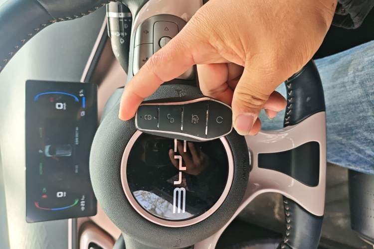 Used BYD Seagull 2023 Flying Edition Vehicle Key