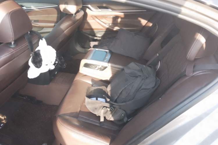 Used BMW 5 Series New Energy 2018 530Le Luxury Package Left Rear Seat