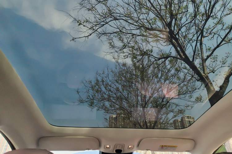 Used Hongqi Tiangong 06 2025 660 4x4 Smart Selection Edition Headliner