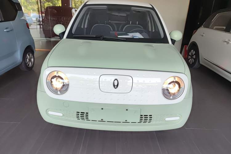 Used ORA Black Cat 2022 301km Base Version Ternary Lithium
