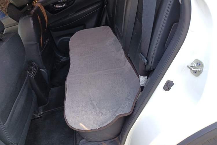 Used Nissan X-Trail 2019 2.0L CVT Smart Connect Comfort Edition 2WD
