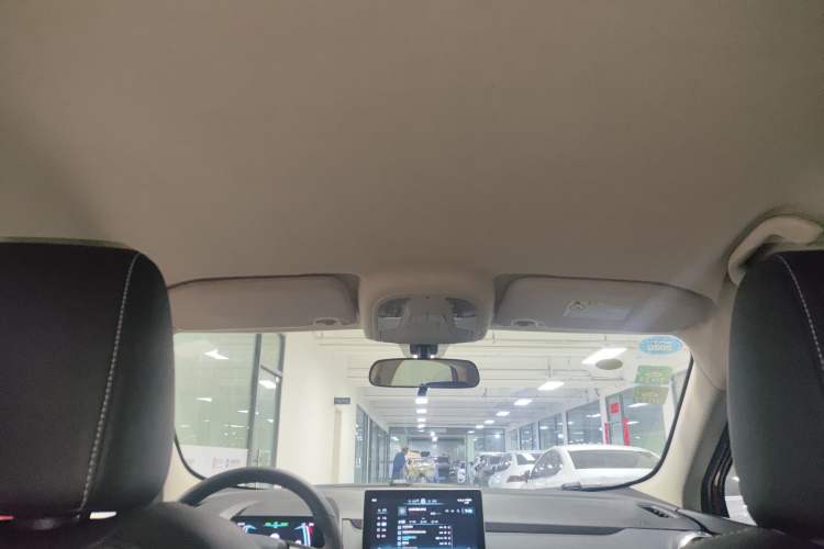 Used BYD Yuan New Energy 2019 EV535 Smart Connect Trendsetting Model