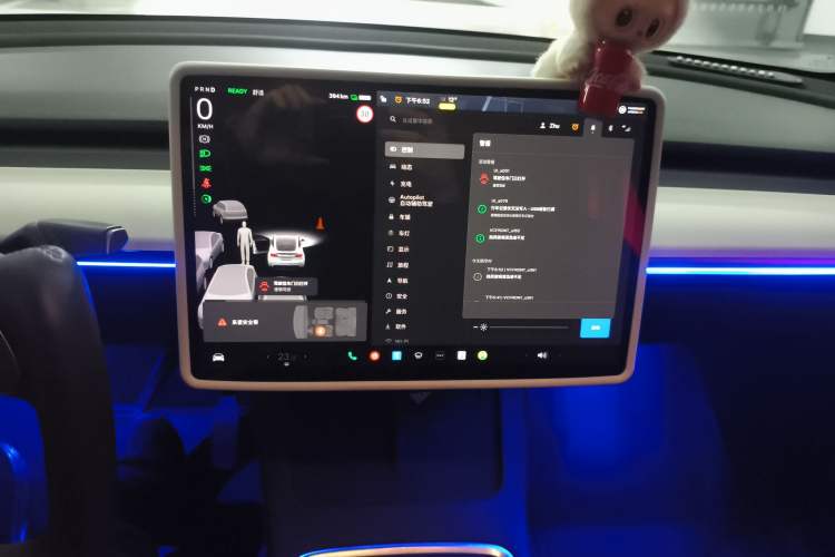 Used Tesla Model Y 2021 Standard Range Rear-Wheel Drive Version
