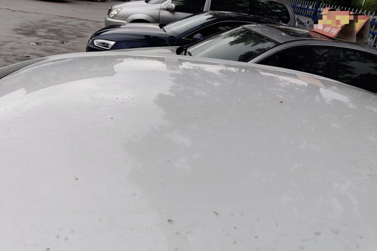 Used Chevrolet Cavalier 2020 325T Automatic Enjoyment Edition