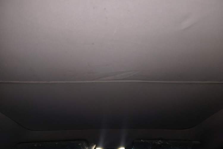 Used Venucia V 2023 260T Idol Edition Pro