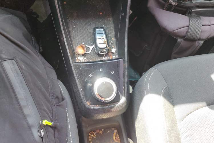 Used NETA N01 2020 Revised Version 430V
