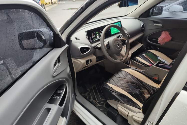 Used ORA White Cat 2020 305 km Luxury Version
