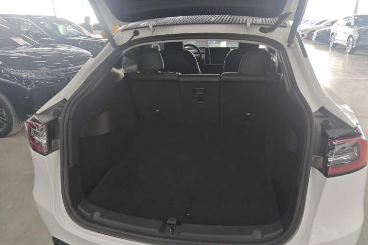 Used Tesla Model Y 2021 Standard Range Rear-Wheel Drive Version
