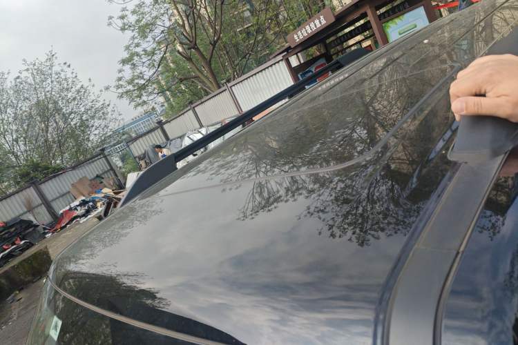 Used Tank 300 2024 2.0T Conqueror