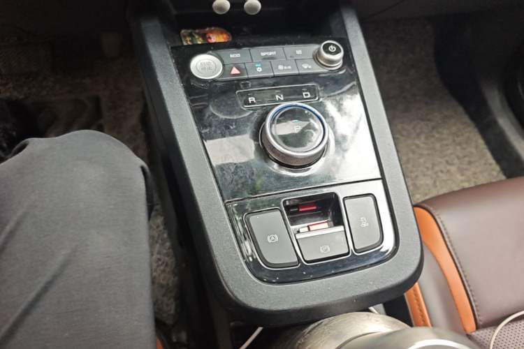 Used BYD e2 2021 Luxury Model