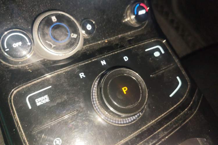 Used NETA U 2021 Pro 400 Cruiser Edition