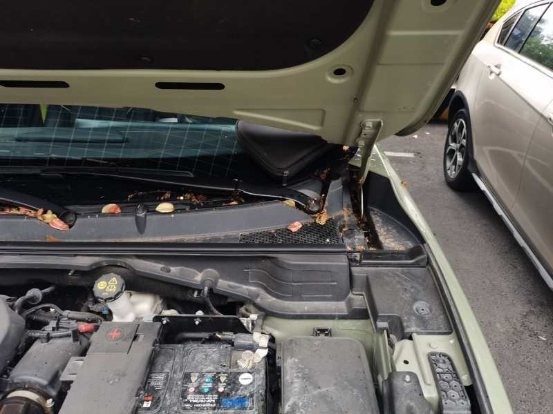 Used CHANGAN UNI-T 2022 1.5T Sport Edition Premium Version — 26