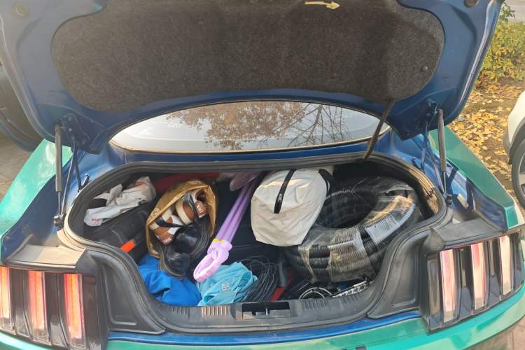 Used Ford Mustang 2017 2.3T Performance Edition
