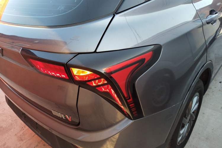 Used NETA V 2022 Standard Range Industry Custom Edition Exterior 3